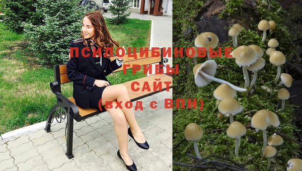 бутират Лабытнанги