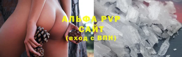 гидра Ладушкин