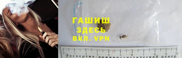 гидра Ладушкин