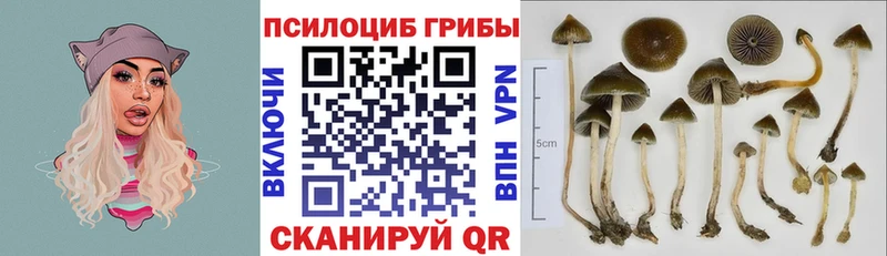 Галлюциногенные грибы Magic Shrooms  где найти   Невьянск 