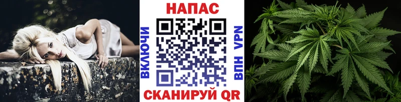 Шишки марихуана ГИДРОПОН Невьянск